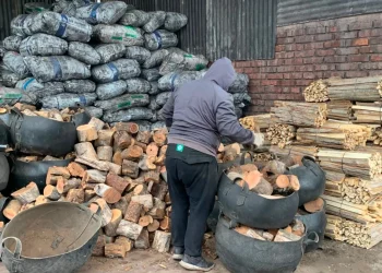 El frío disparó la venta de leña en Mendoza: creció un 50% la demanda para calefaccionarse