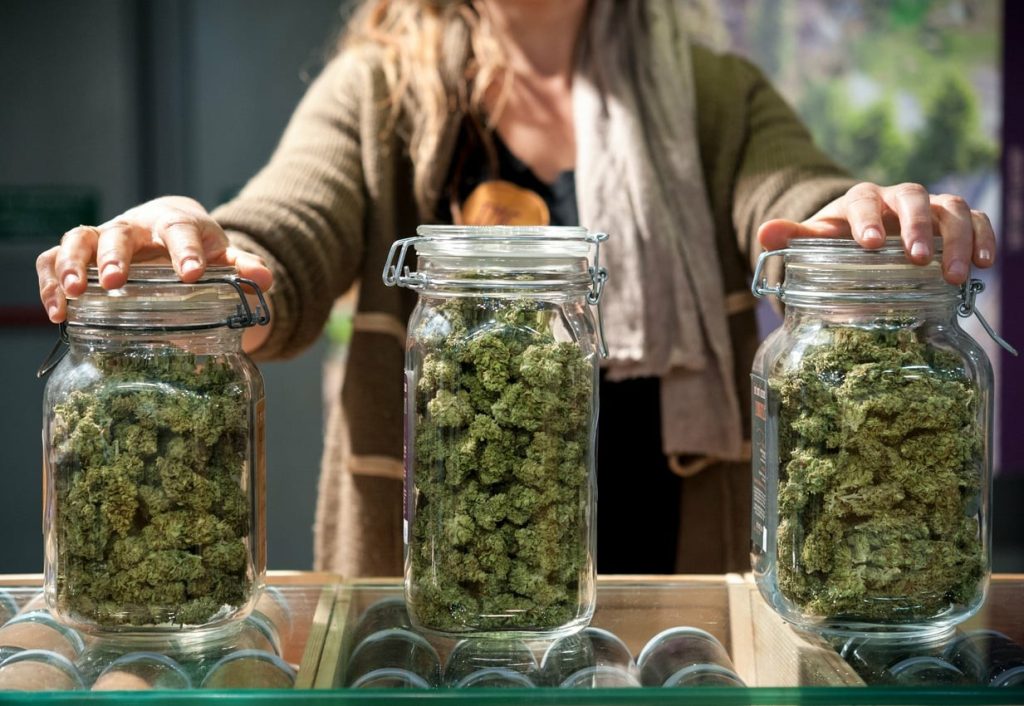 Charla informativa sobre el cannabis medicinal y el Reprocann