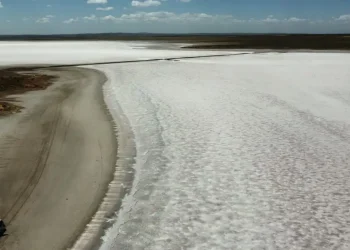 Litio: Jimena Latorre detalló cómo avanzará la exploración en el Sur de Mendoza