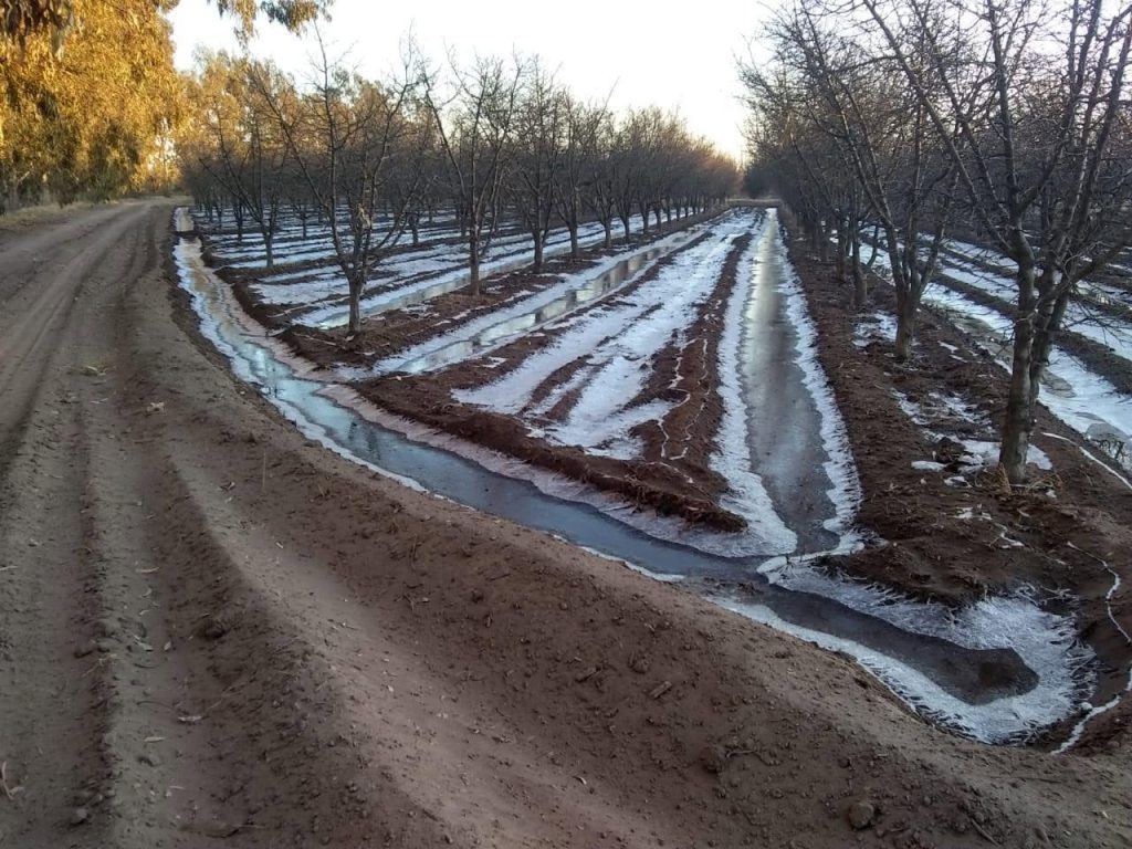Fondo Agrícola: el costo de la cobertura por granizo para productores del Sur triplica al Centro y Norte