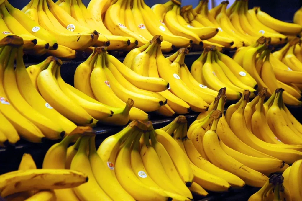 El cierre del Paso a Chile golpeó el bolsillo en Mendoza: frutas y verduras aumentaron hasta un 40%