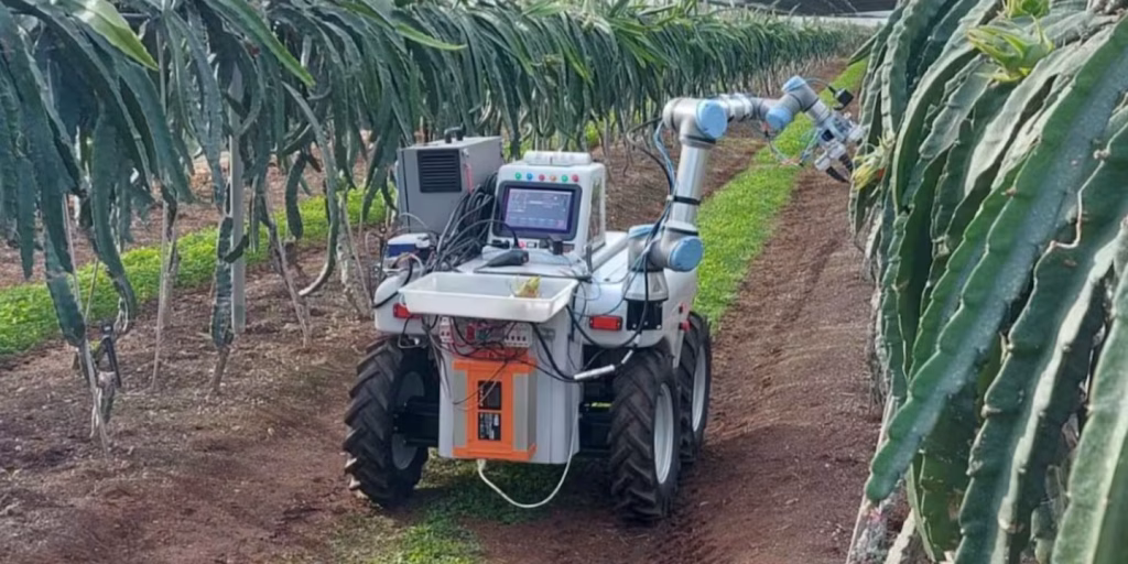 Así funciona Dragonbot, el robot con brazo delicado que crearon dos jóvenes y recolecta la fruta del dragón