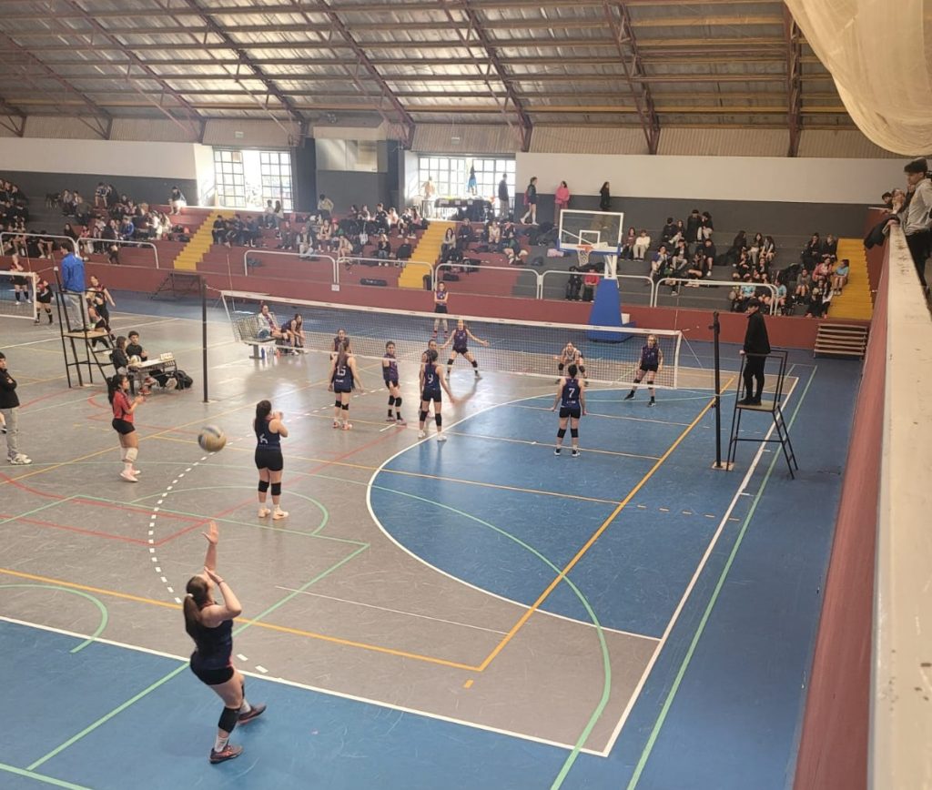 Se reanuda el Torneo Anual de balonmano