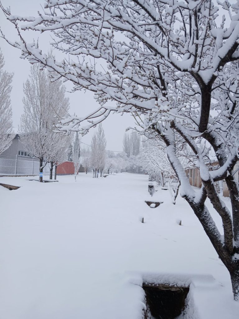 Intensas nevadas en El Sosneado, Los Parlamentos y El Nihuil, además de cortes en las rutas 40 y 143