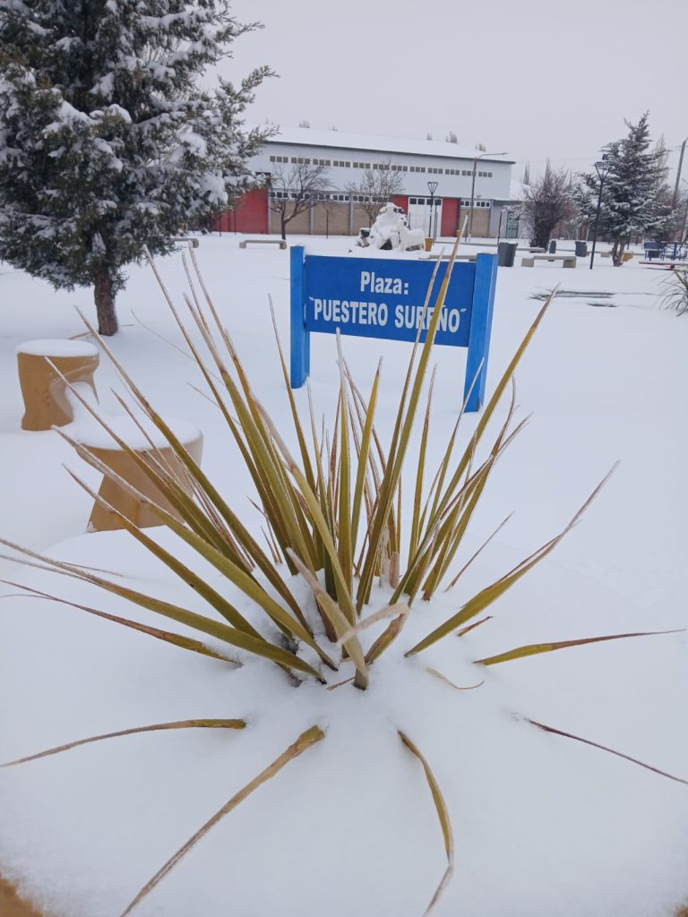 Las nevadas dejaron hasta 15 centímetros de nieve en el secano sanrafaelino