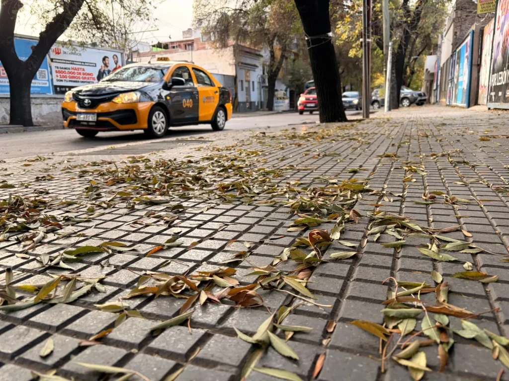 Vuelve el viento Zonda: cómo impactará día por día