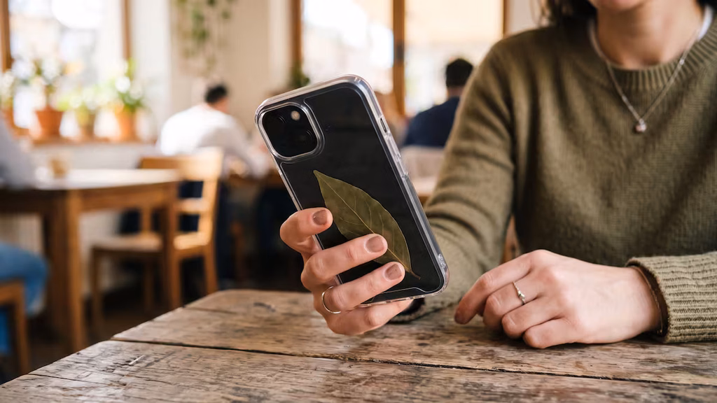 El secreto detrás del celular: por qué miles de personas están poniendo una hoja de laurel en su funda