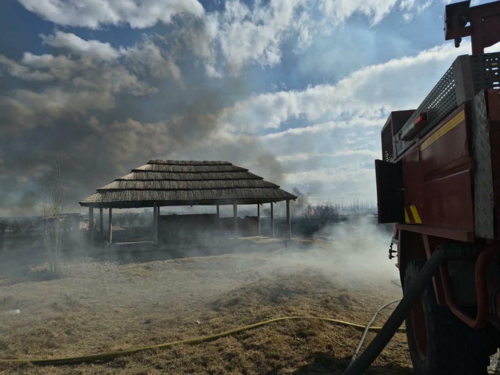 Quema de pastizales provocó daños en viviendas y Bomberos reclamó mayor prevención