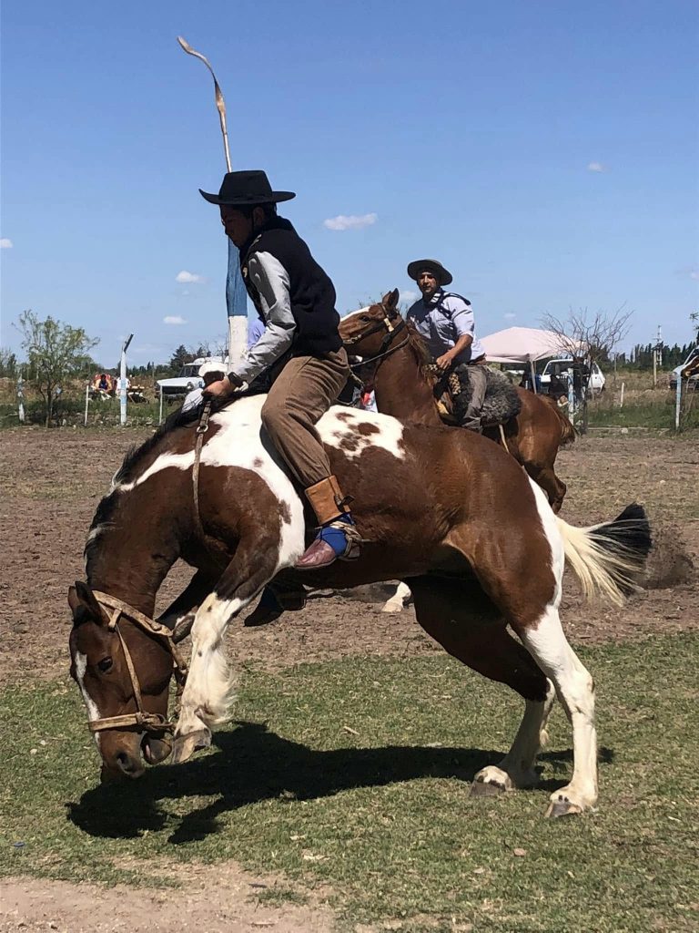 Destrezas criollas y los festejos por los 40 años de la Federación Gaucha de San Rafael