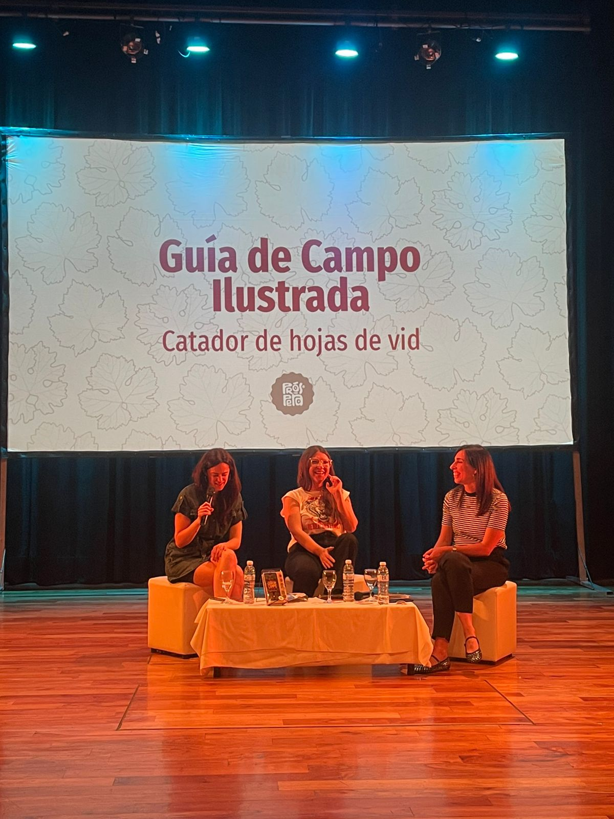Tres mendocinas fueron reconocidas a nivel nacional por una guía sobre la identidad vitivinícola