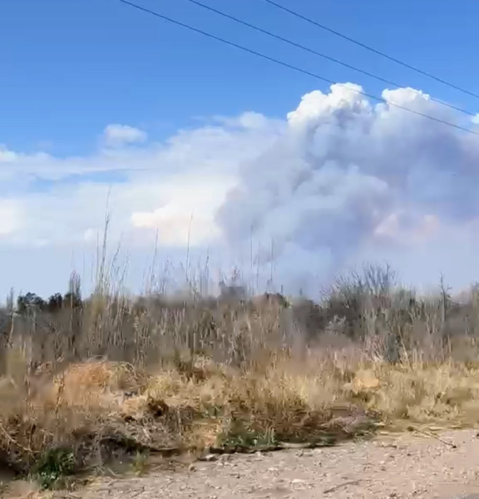 Incendios de pastizales en San Rafael: el viento volvió a exponer el riesgo de quemar malezas