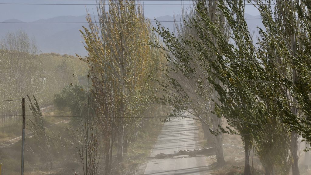 Jueves 24 de setiembre: por viento Zonda, suspenden las clases presenciales en toda la provincia durante los turnos vespertino y nocturno