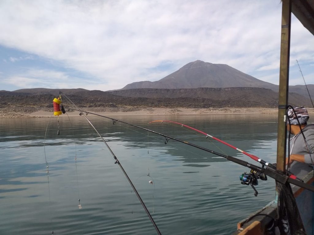 Arranca la temporada de pesca en San Rafael: fechas, lugares y especies habilitadas