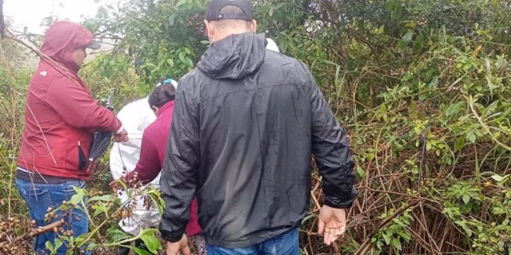 Encontraron muerta a Roxana Guiravica de 28 años en un descampado en Salta: los estremecedores detalles de la autopsia