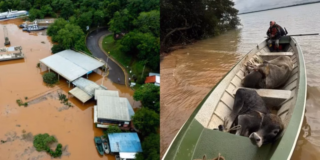 Fuertes inundaciones en Neuquén, Chaco y Corrientes por El Niño: evacuados, parajes aislados y rutas afectadas
