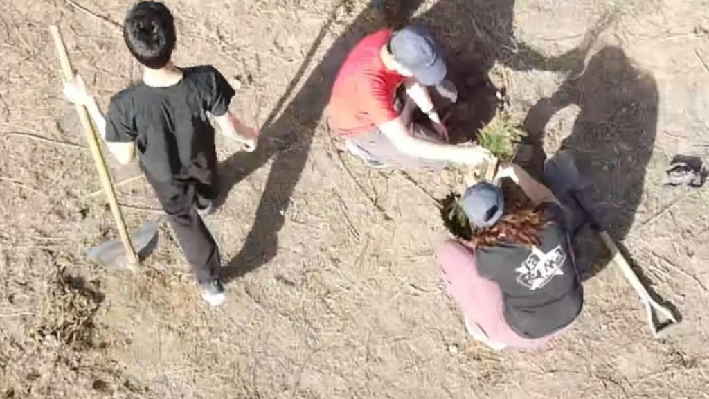 Salto de las Rosas: buscan transformar un predio en un nuevo "pulmón verde"