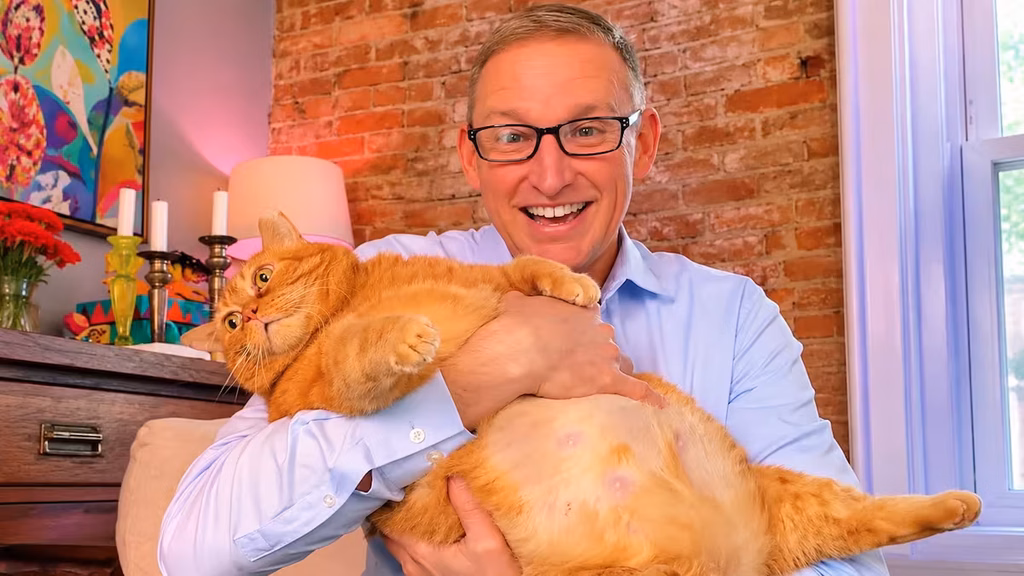 Adoptó a una gata de más de 11 kilos que apenas podía caminar y su transformación se volvió viral