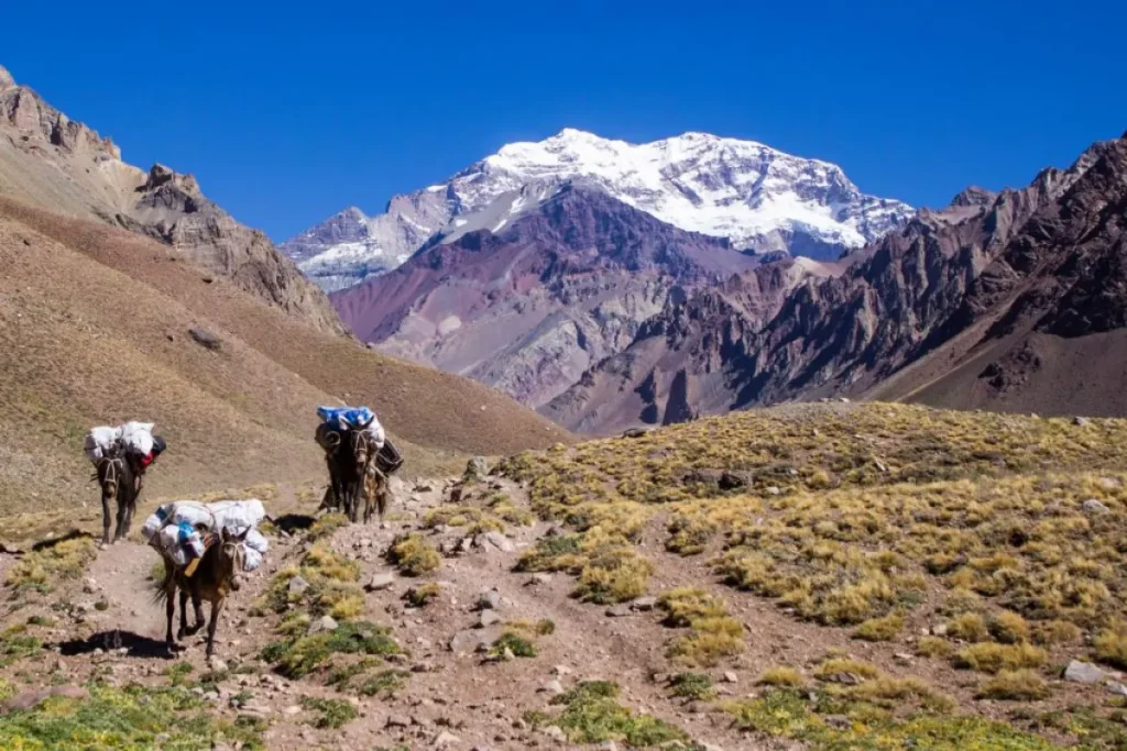Las restricciones para quienes visiten el Aconcagua durante la temporada alta