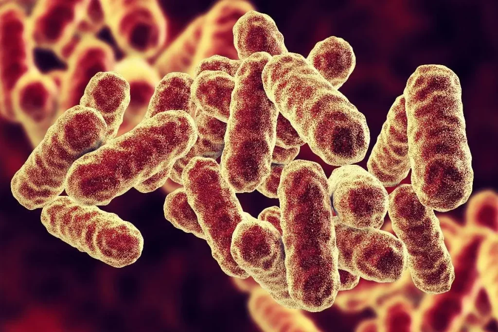 Alerta sanitaria en Mendoza: investigan un brote de meningitis posquirúrgica por la bacteria Serratia marcescens que dejó dos muertos